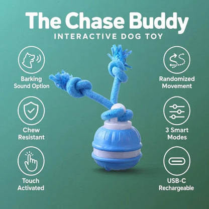 The Chase Buddy Dog Toy