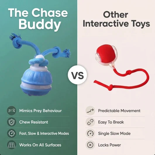The Chase Buddy Dog Toy