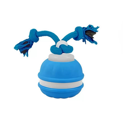 The Chase Buddy Dog Toy