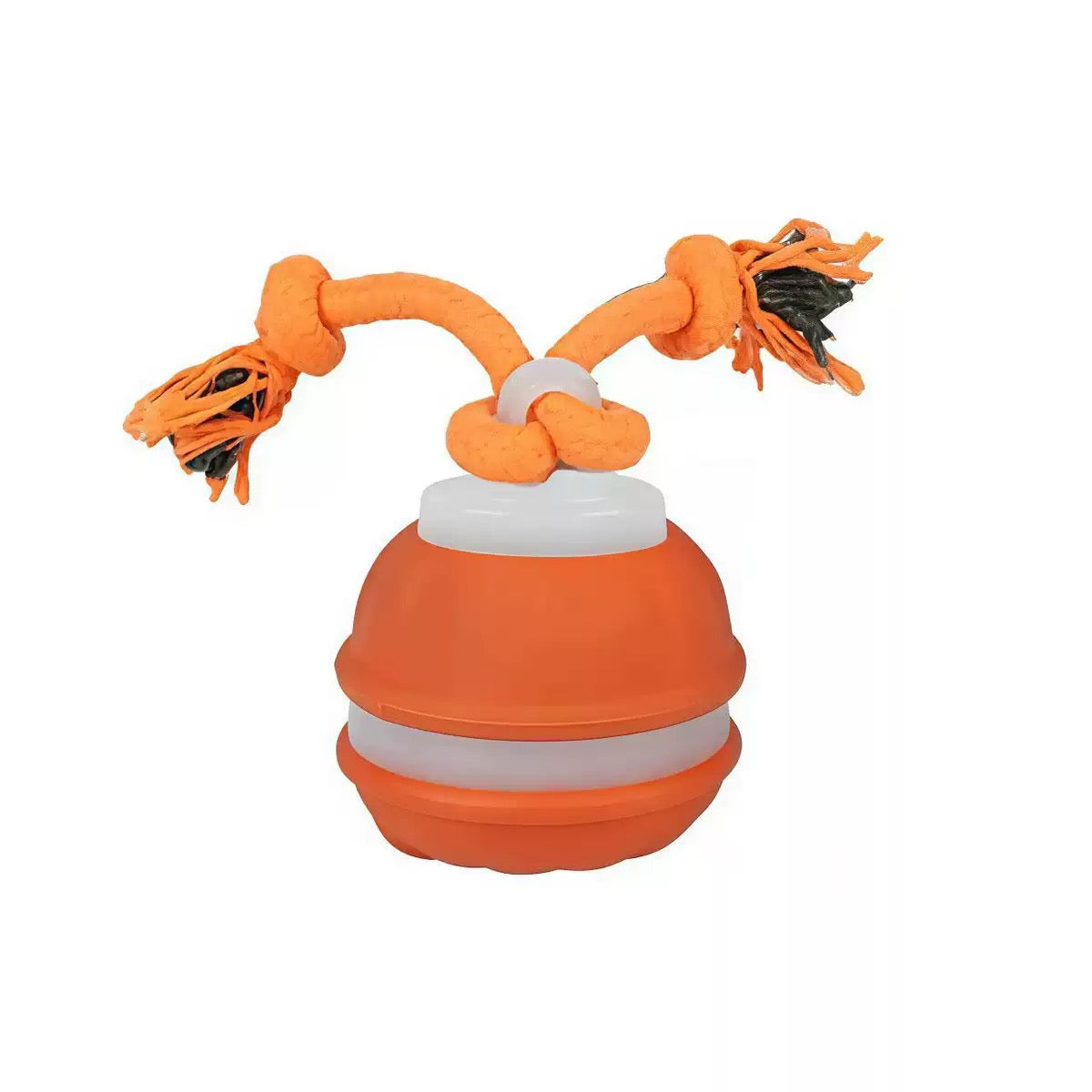 The Chase Buddy Dog Toy